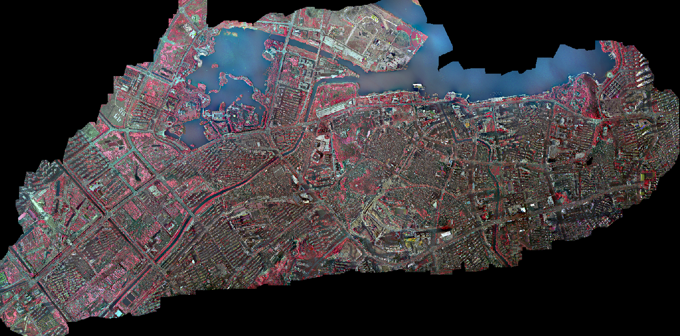 LiMapper