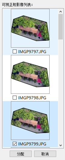 AssignSelectedPolygonImage.png