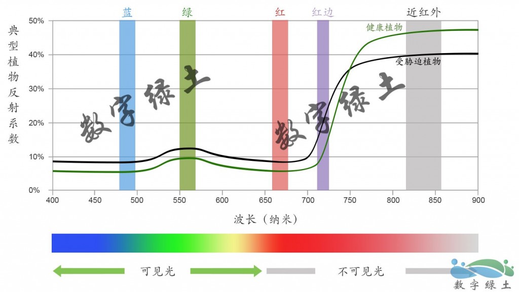 表格中文_副本