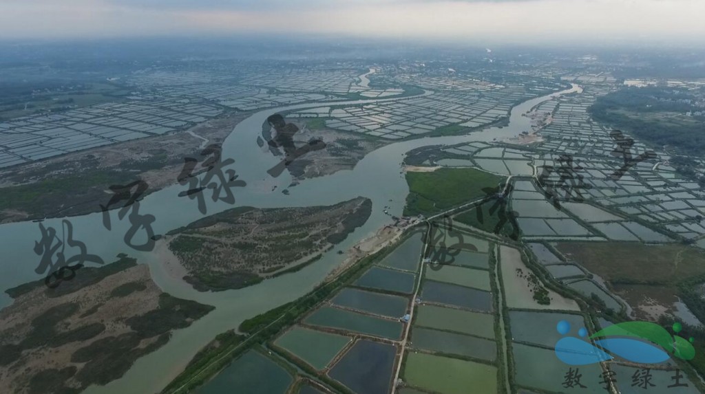 海岸湿地生态系统