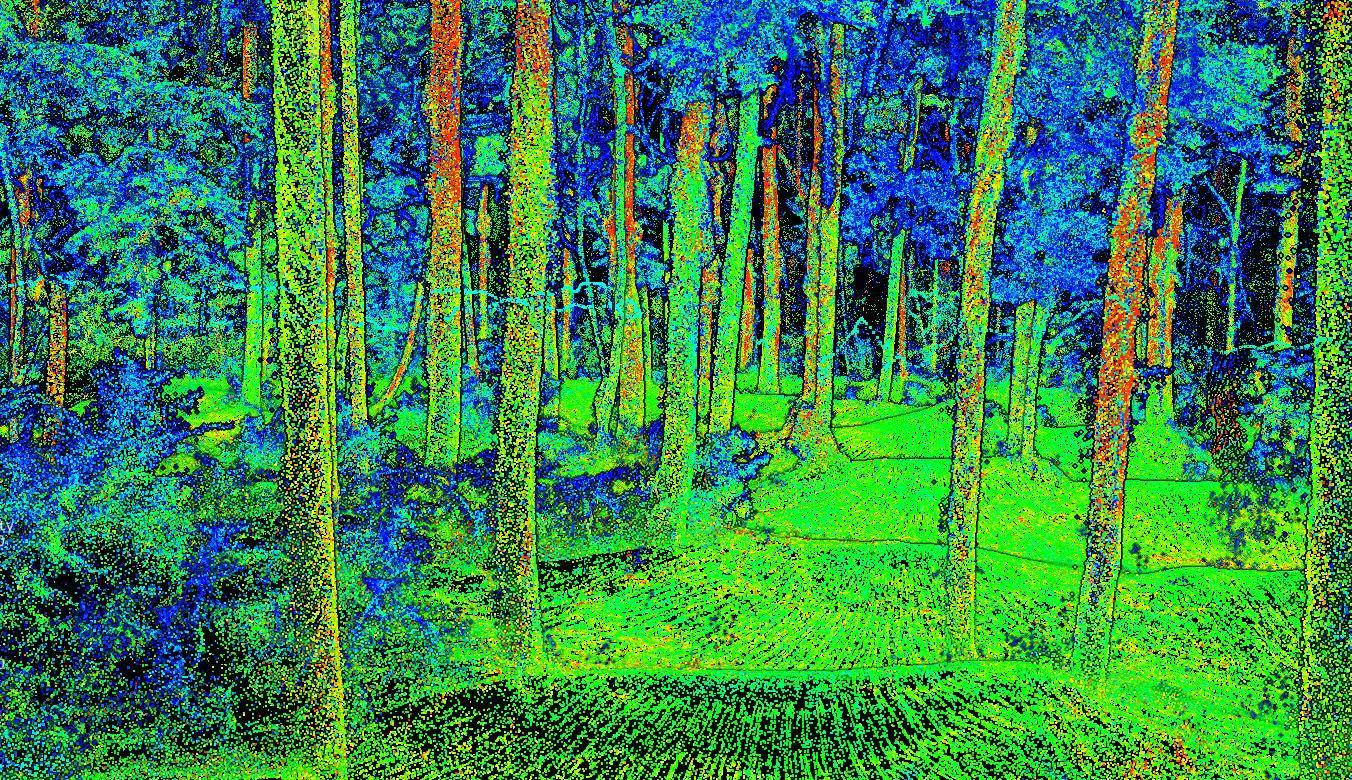 卫星遥感影像森林覆盖图@北京亿景图